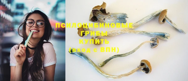 экстази Липки