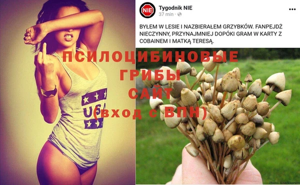 соль ск Магас