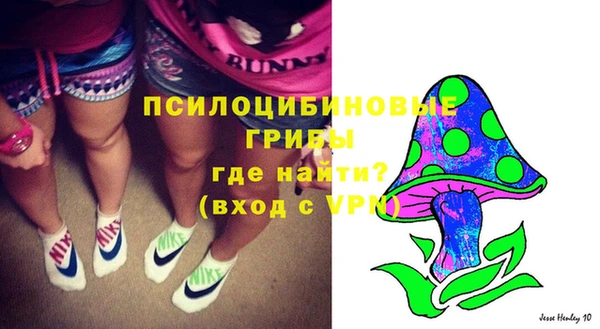 твердый Магадан