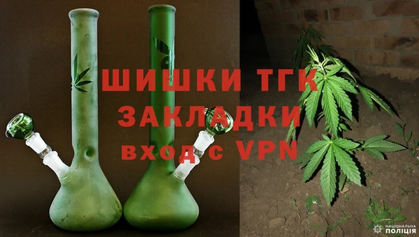 прущие грибы Майский