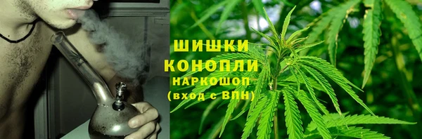 ГАЛЛЮЦИНОГЕННЫЕ ГРИБЫ Лиски