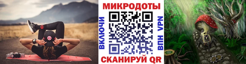 дарнет шоп  Шацк  KRAKEN сайт  Псилоцибиновые грибы Magic Shrooms 