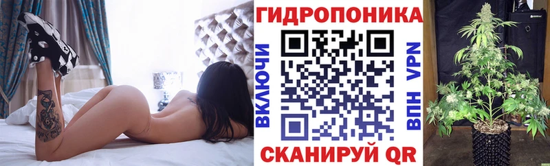 Канабис White Widow  Шацк 